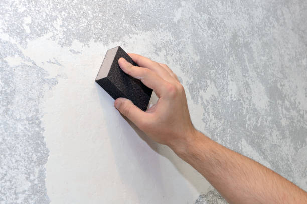 Best Forensic Mold Investigation  in Buckhorn, CA