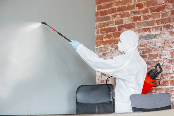 Best Post-Remediation Verification Testing  in Buckhorn, CA