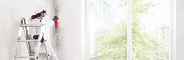 Best Air Quality Testing for Mold Spores  in Buckhorn, CA